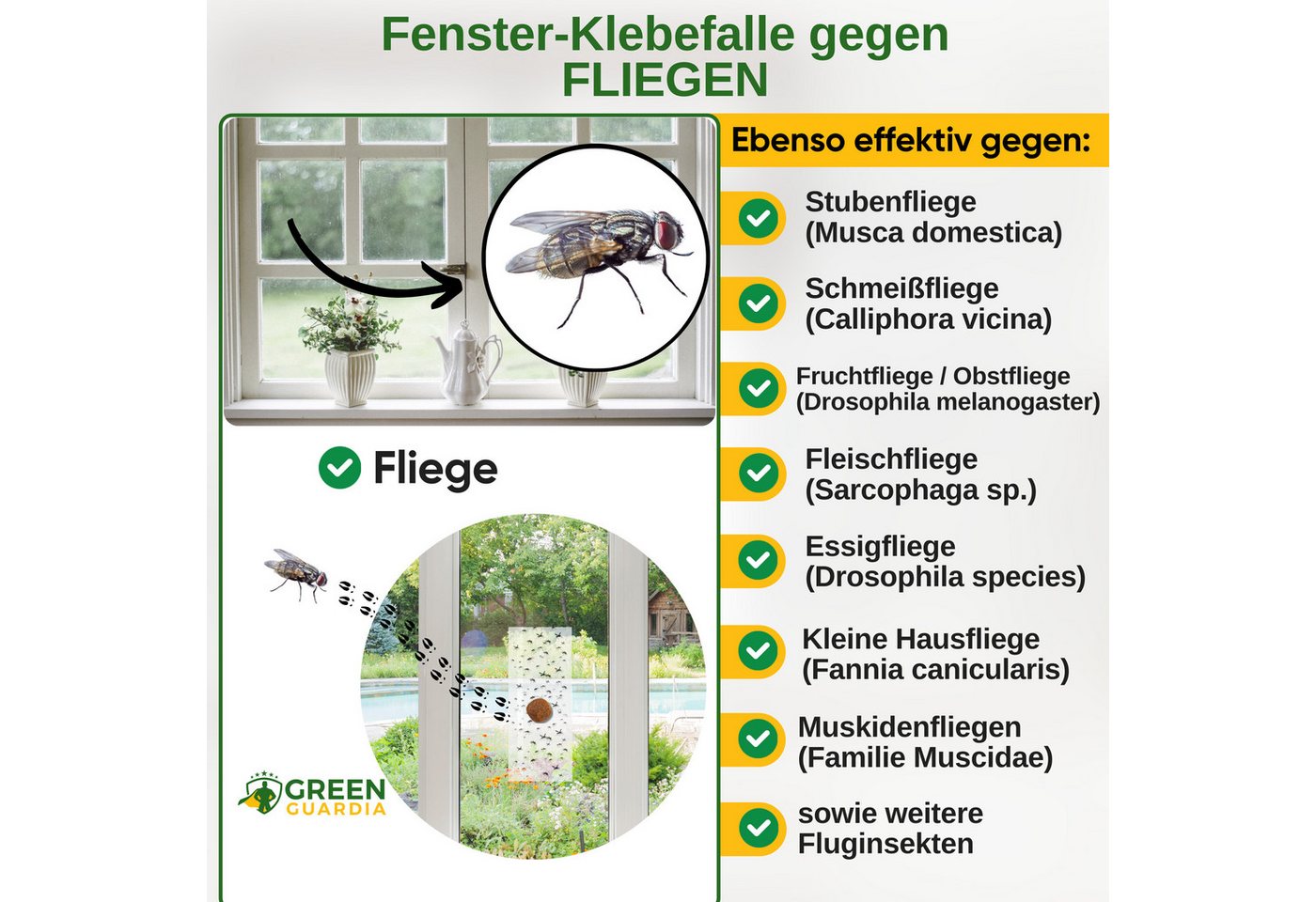 Thumbnail - GREEN GUARDIA Insektenfalle Fliegen Fenster-Falle mit Spezial-Lockstoff - insektizidfrei, Umweltfreundliche & Effektive ...