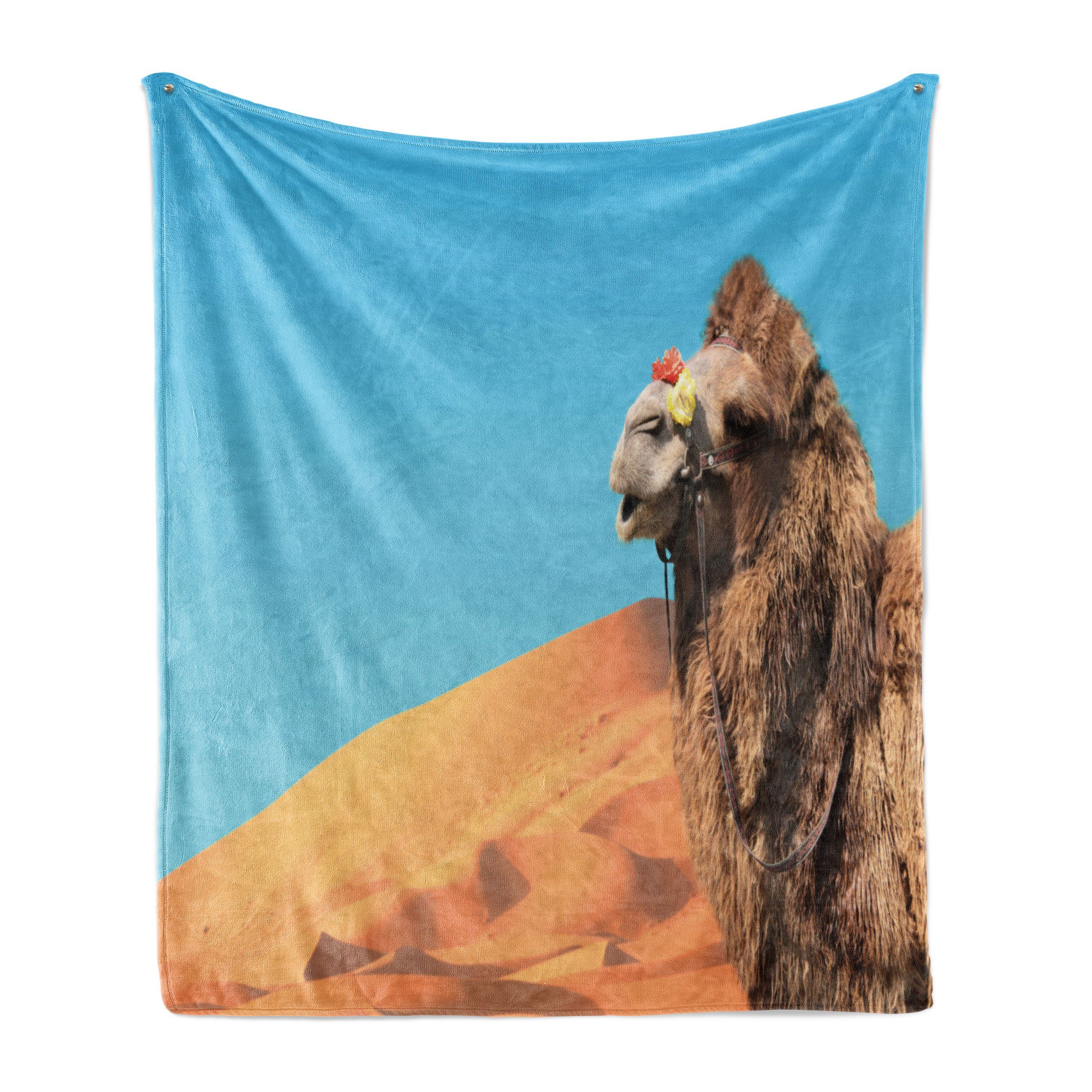Sanddünen Kamel Innen- Gemütlicher und Außenbereich, Wüste Plüsch für Wohndecke Abakuhaus, Himmel und den
