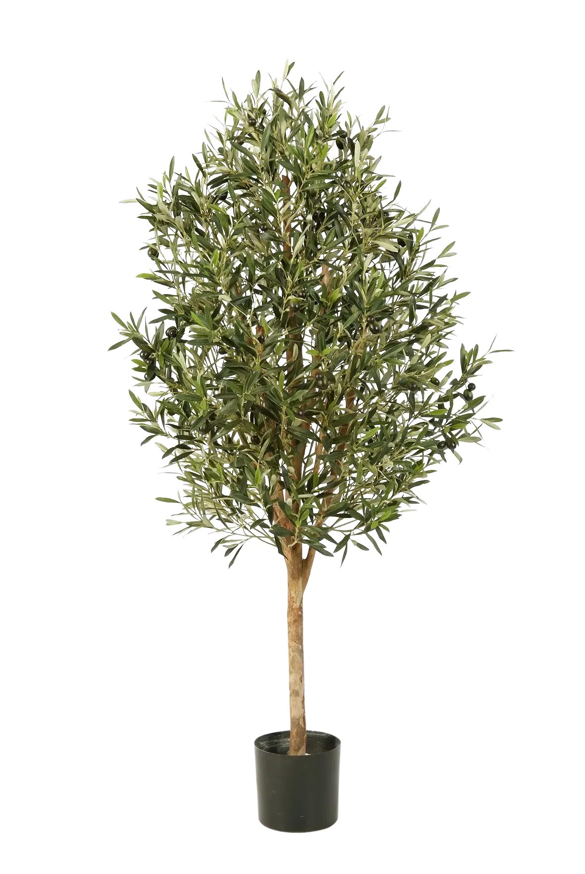Kunstbaum Künstlicher Olivenbaum - Ilaria, 170 cm, aplanta