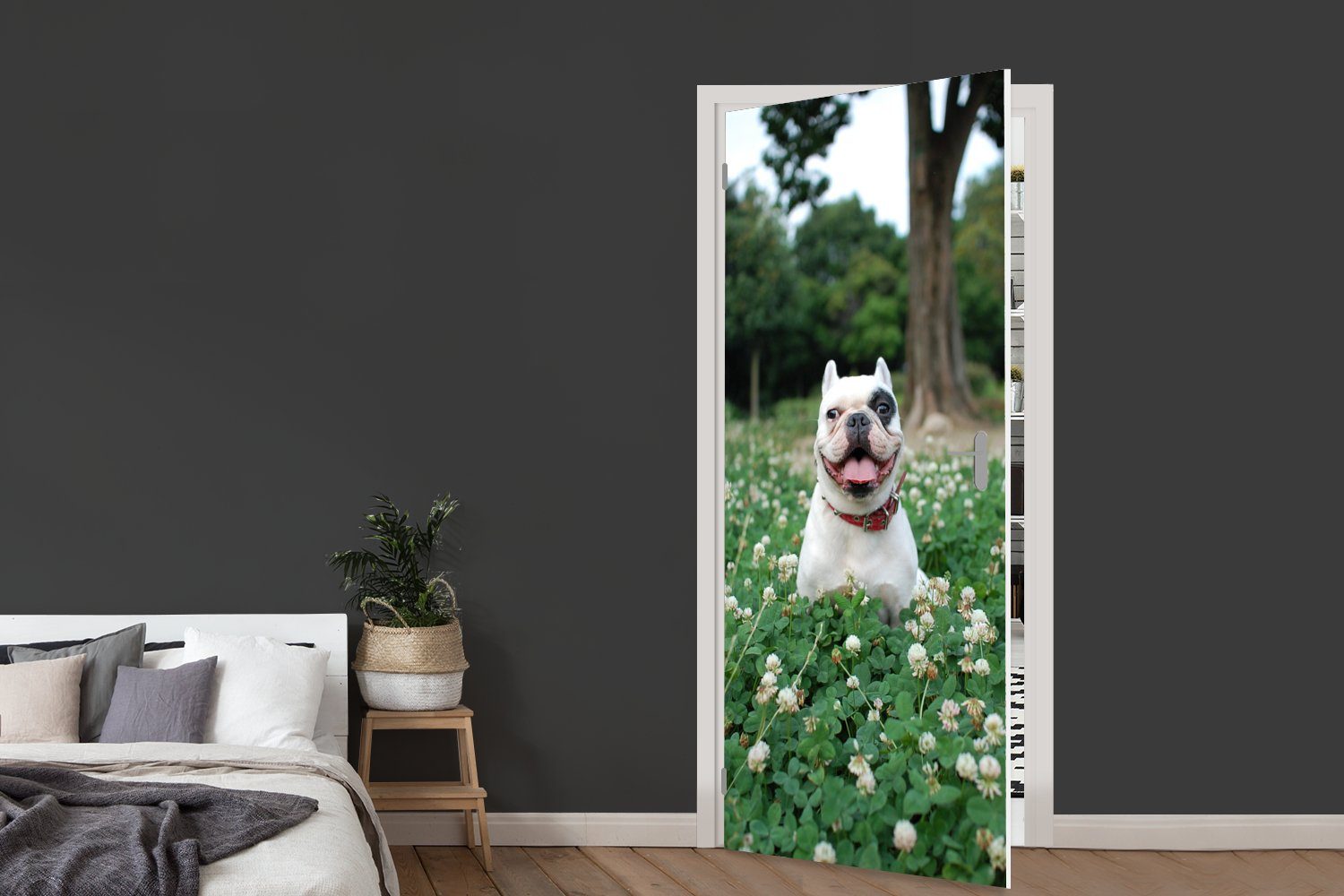 Hund, St), Tür, 75x205 Fototapete (1 bedruckt, - Türtapete Matt, - MuchoWow Türaufkleber, cm Klee Tier für