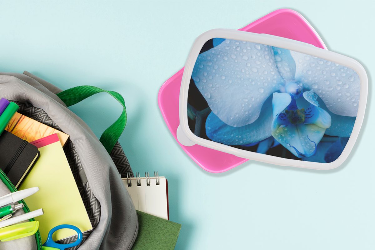 MuchoWow Lunchbox Blumen - Kunststoff rosa Brotbox Snackbox, Brotdose Blau Wasser, - Kunststoff, Kinder, Mädchen, (2-tlg), für Erwachsene