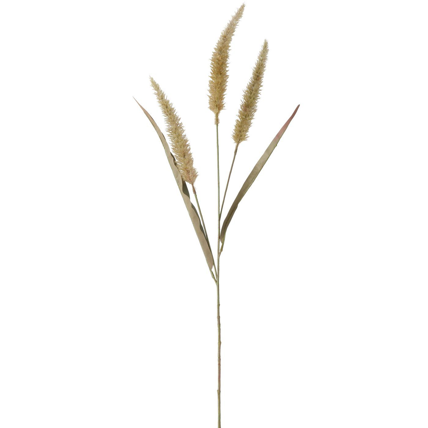 Kunstpflanze Dekozweig Lampenputzergras, 91 cm hoch, günstig online kaufen