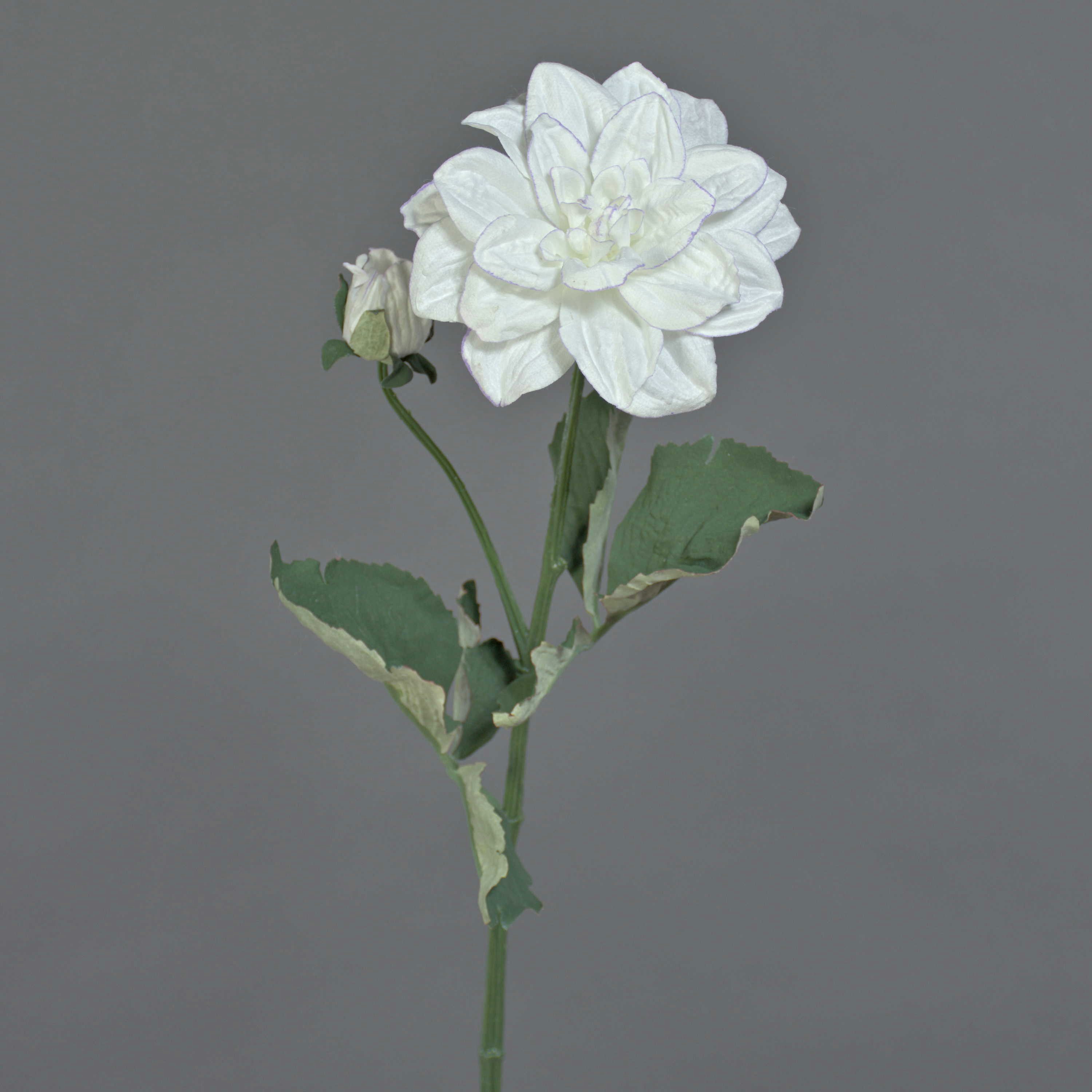 Kunstblume Deko Blumenzweig Dahlie Ginger, Eco Collection, weiß-lila, 60cm, Ø10cm Dahlie, artplants, Höhe 60.0 cm