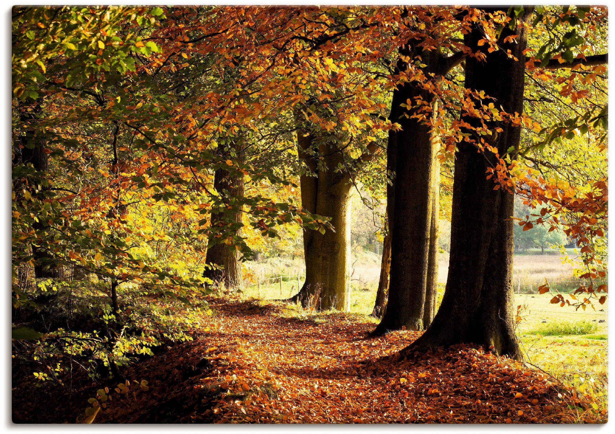 Artland in Poster (1 Alubild, Wandbild oder versch. St), Wandaufkleber Bäume Größen Leinwandbild, Herbstfarben, als