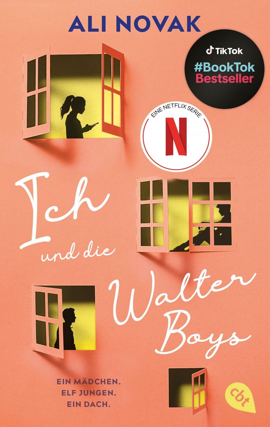 Ich und die Walter Boys / Ali Novak