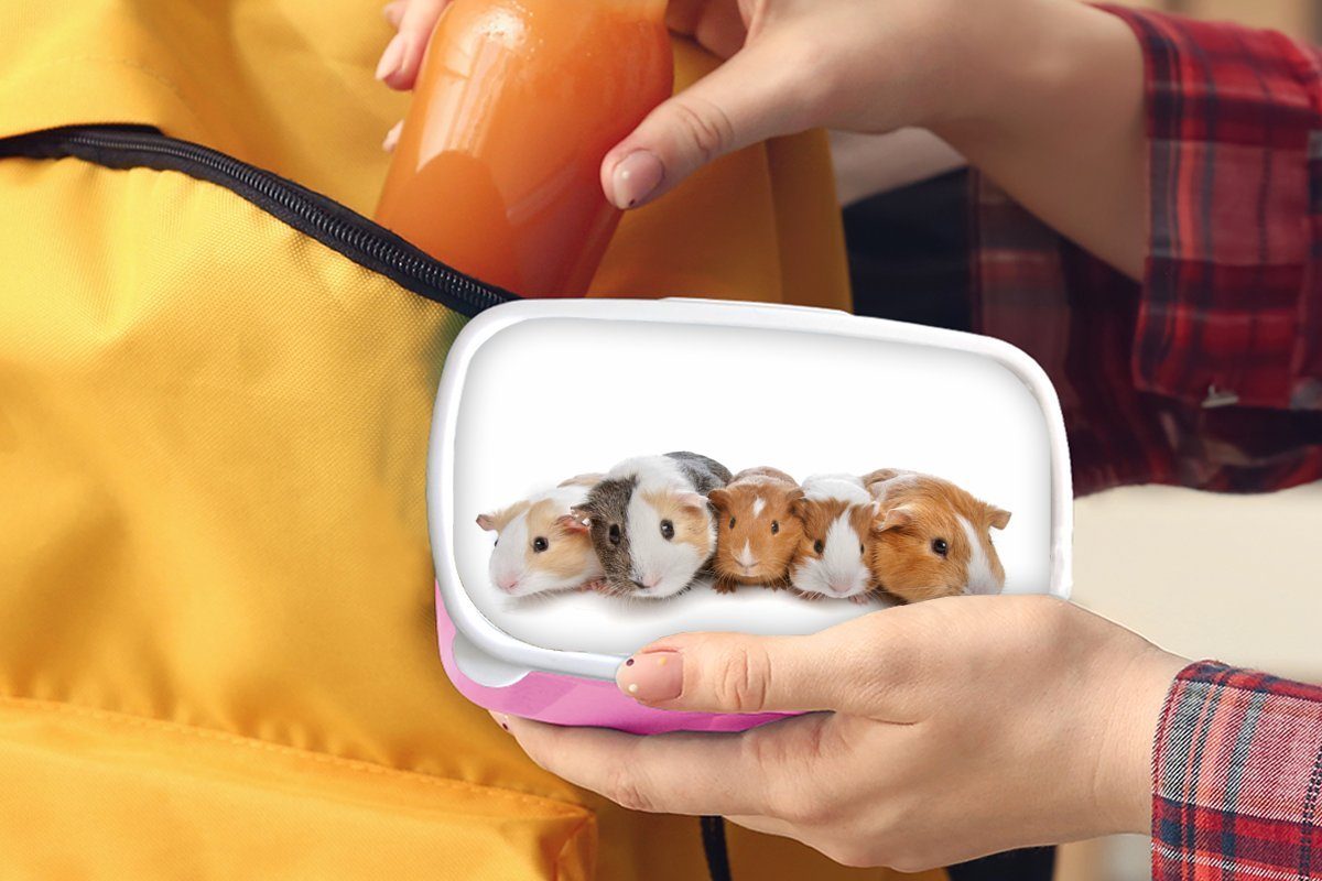 Brotbox Kinder, Brotdose MuchoWow Kunststoff Erwachsene, Meerschweinchen, Snackbox, Fünf Kunststoff, (2-tlg), für Mädchen, Lunchbox rosa