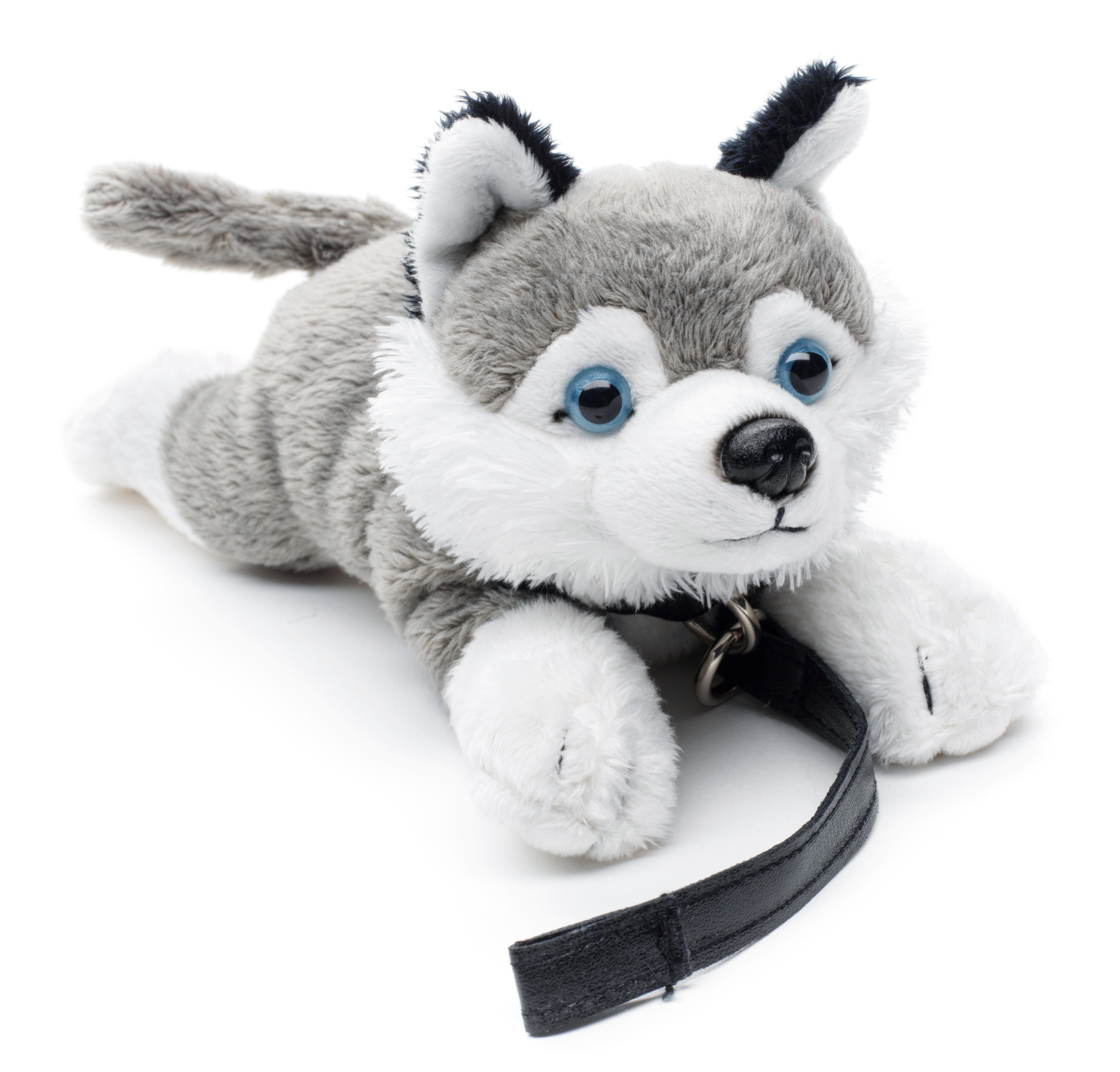 Plüschtier, Husky Füllmaterial % Plüsch-Hund (mit 22 Kuscheltier - - Leine) cm Plushie (Länge) zu 100 recyceltes - Uni-Toys