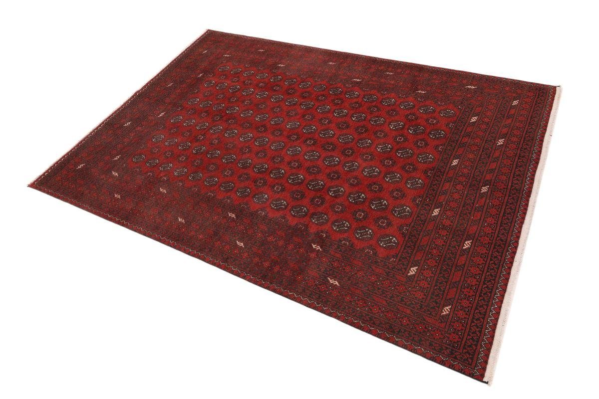 Trading, Akhche Höhe: Afghan 200x289 Orientteppich, 6 Orientteppich Handgeknüpfter Nain mm rechteckig,