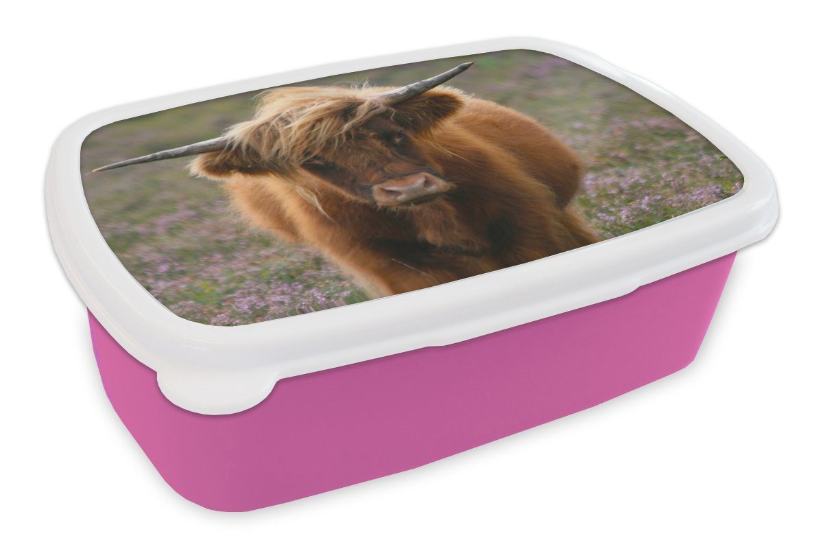 MuchoWow Lunchbox Schottische Hochlandbewohner - Heidelandschaft - Tiere, Kunststoff, (2-tlg), Brotbox für Erwachsene, Brotdose Kinder, Snackbox, Mädchen, Kunststoff rosa