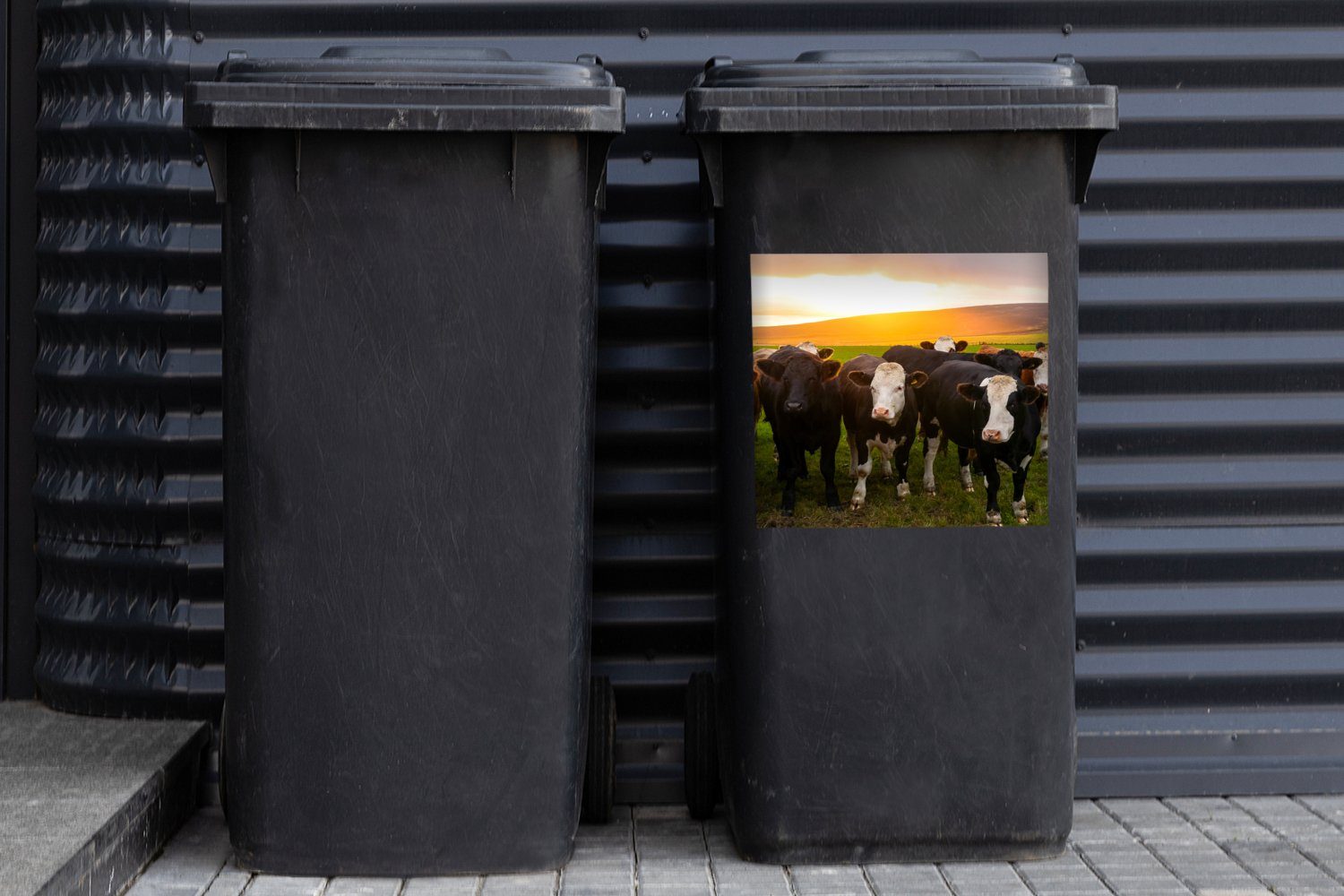 MuchoWow Wandsticker Kühe - Hügel St), - Gras Sonnenuntergang Container, - Abfalbehälter Mülltonne, Mülleimer-aufkleber, Grün - (1 Sticker