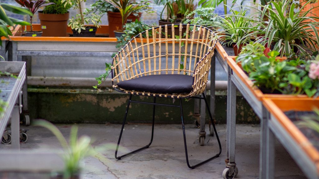 Loreno® Esszimmerstuhl Lima, Rattanstuhl, in verschiedenen günstig online kaufen