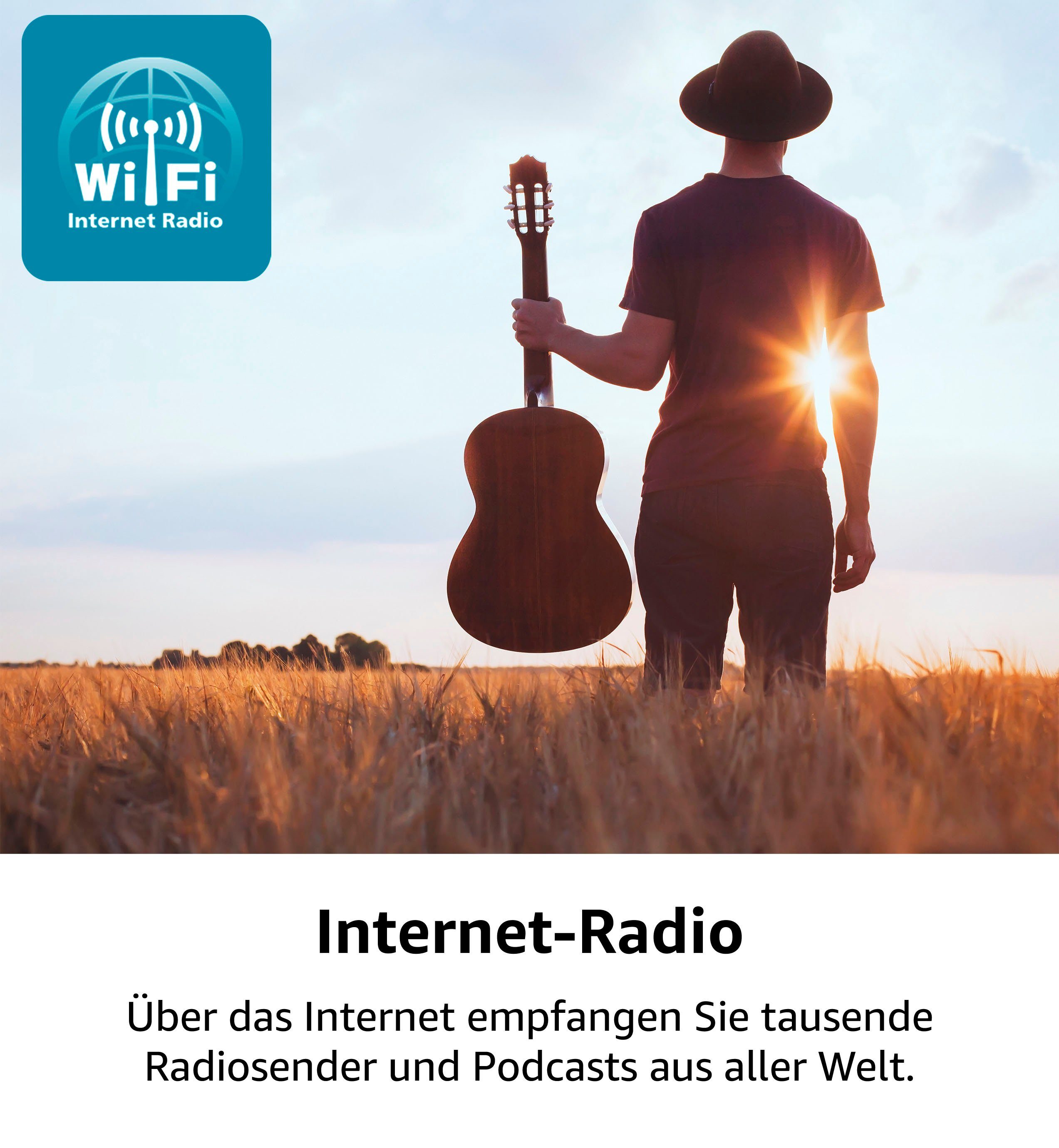 (DAB), 20 8000DI RDS, (Digitalradio Stereoanlage Internetradio, MC Karcher UKW mit W)