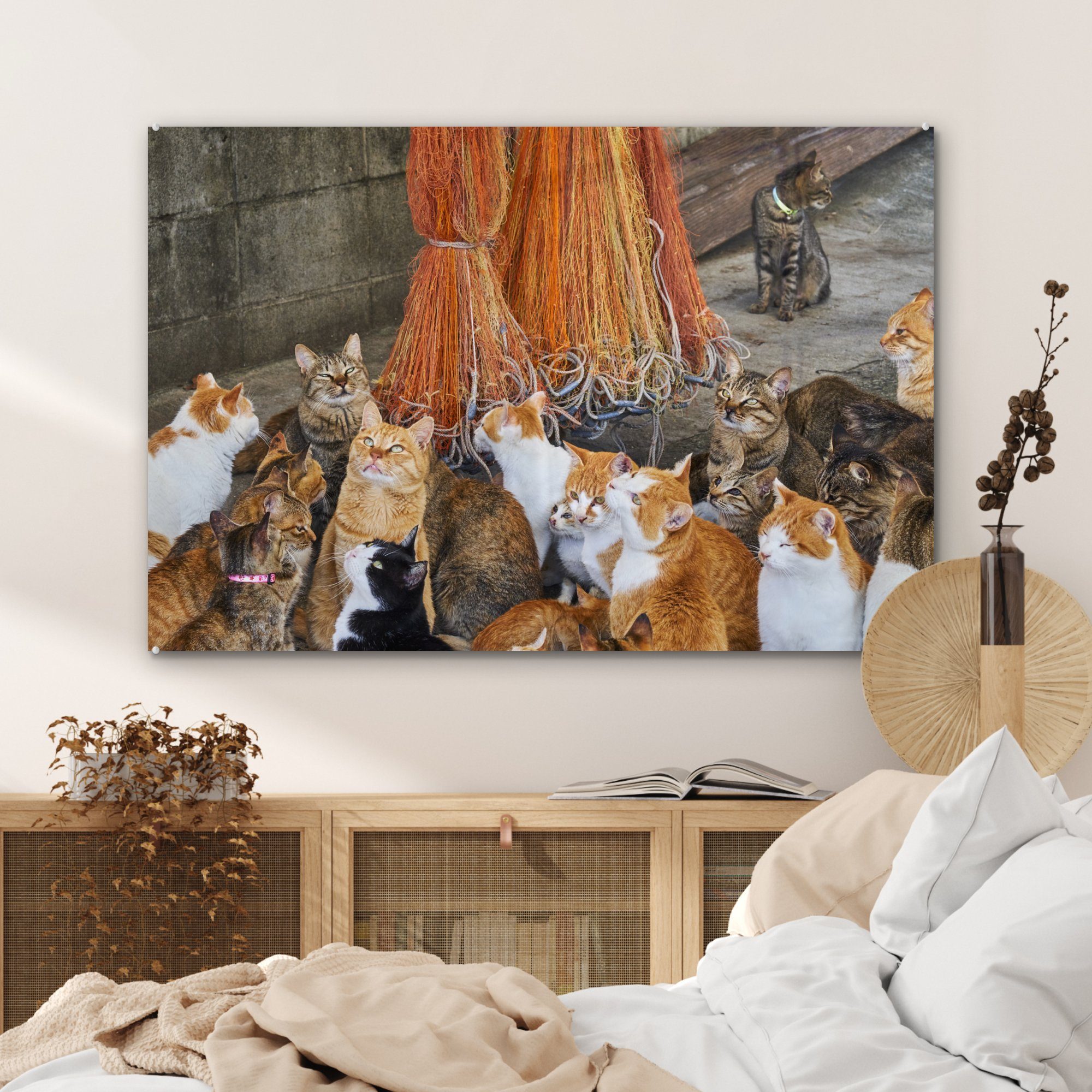 Acrylglasbilder MuchoWow Schlafzimmer - Wohnzimmer Fischnetz Boot, & Acrylglasbild - (1 St), Katze