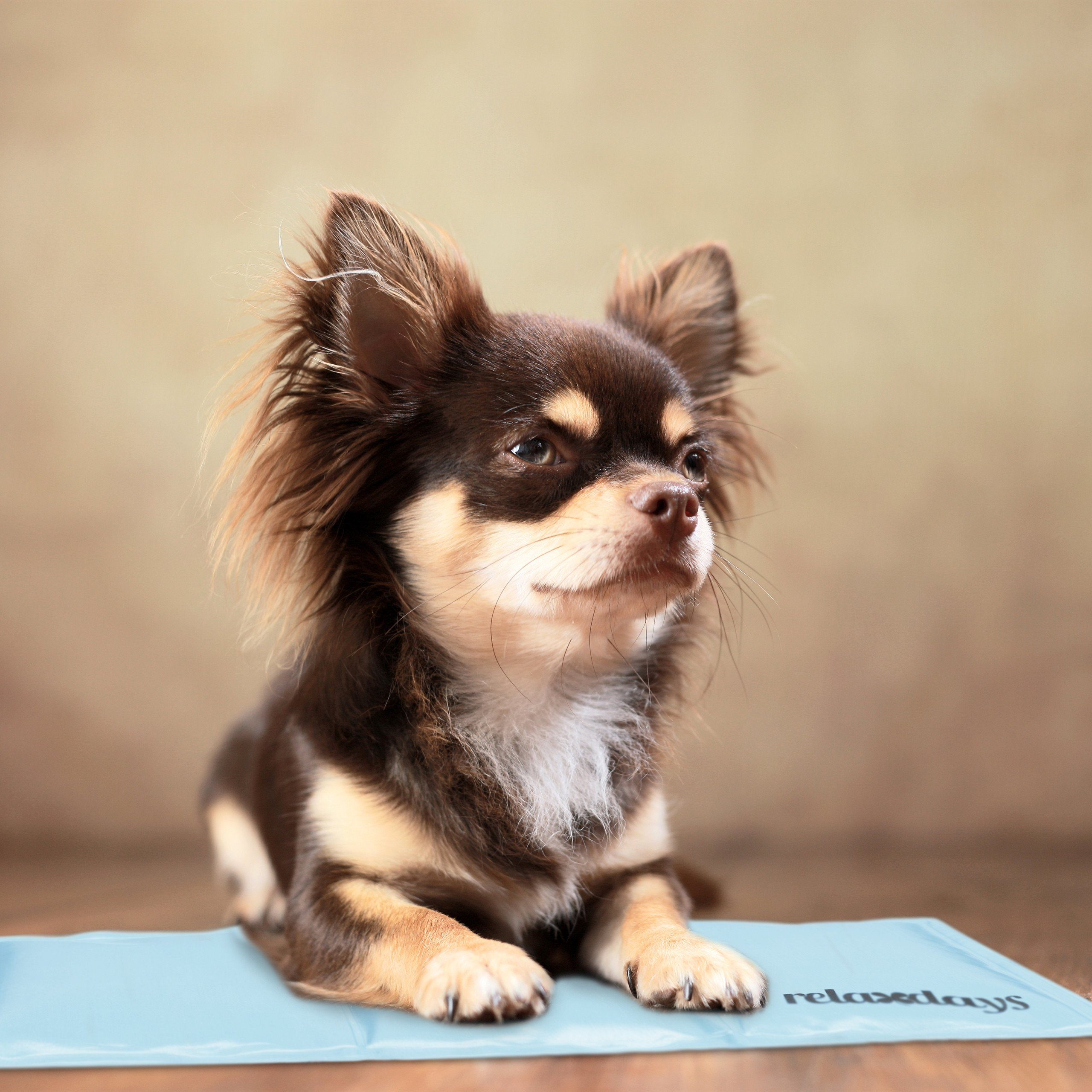 relaxdays Hundematte Hellblaue Kühlmatte für Hunde, günstig online kaufen