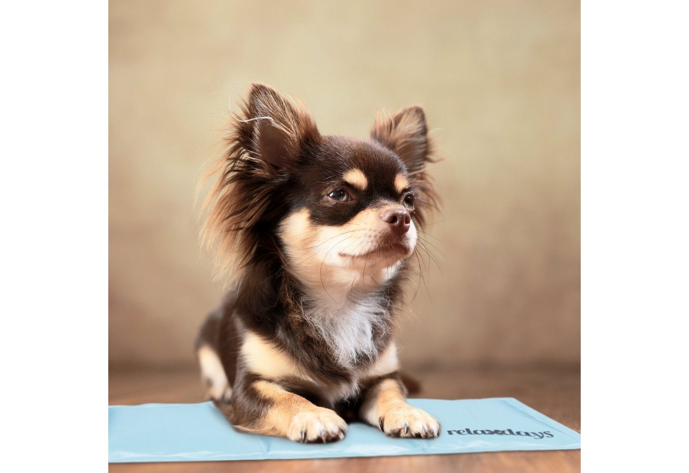 Thumbnail - relaxdays Hundematte Hellblaue Kühlmatte für Hunde, 20 x 35 cm