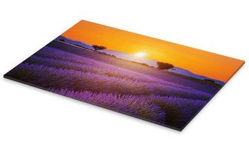 Posterlounge Acrylglasbild Editors Choice, Sonne über dem Lavendel, Mediterran Fotografie