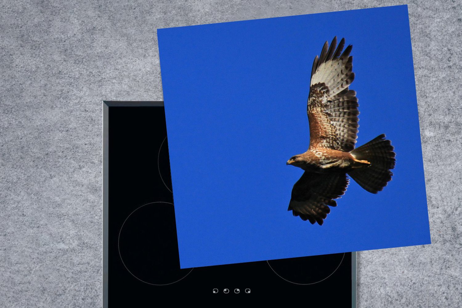 MuchoWow Herdblende-/Abdeckplatte Bussard gegen blauen den 78x78 (1 Ceranfeldabdeckung, abgebildet, Vinyl, tlg), cm, küche für Arbeitsplatte Himmel