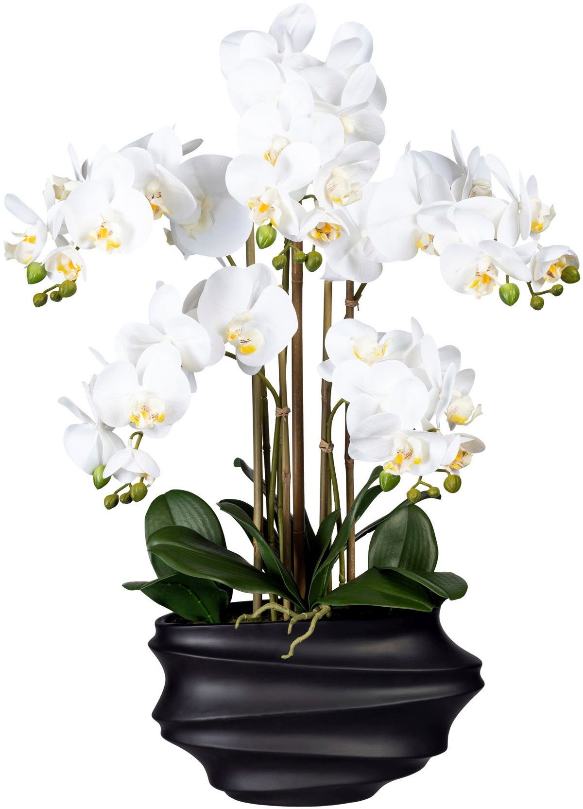 Kunstorchidee Phalaenopsis Orchidee Phalaenopsis, Creativ green, Höhe 75 cm,  in Design-Kunststoffvase, Sie erhalten die beiden Farben: weiß und