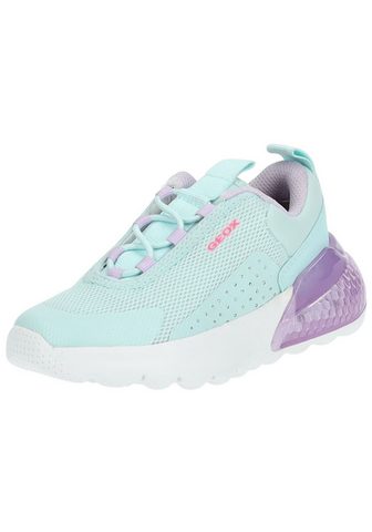  Geox Geox Sneaker Lederimitat/Textil S...