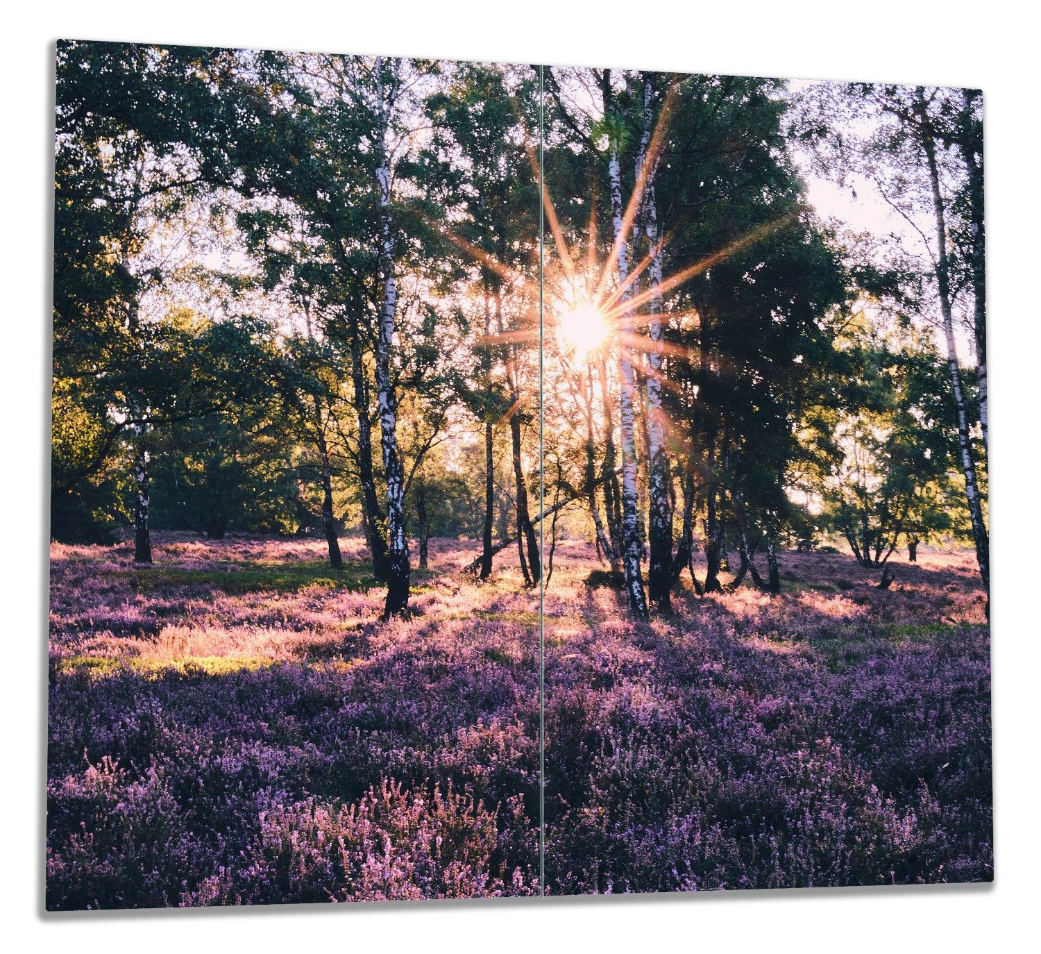 Wallario Herd-Abdeckplatte Heide im Morgenlicht, ESG-Sicherheitsglas, (Glasplatte, 2 tlg., inkl. 5mm Noppen), verschiedene Größen