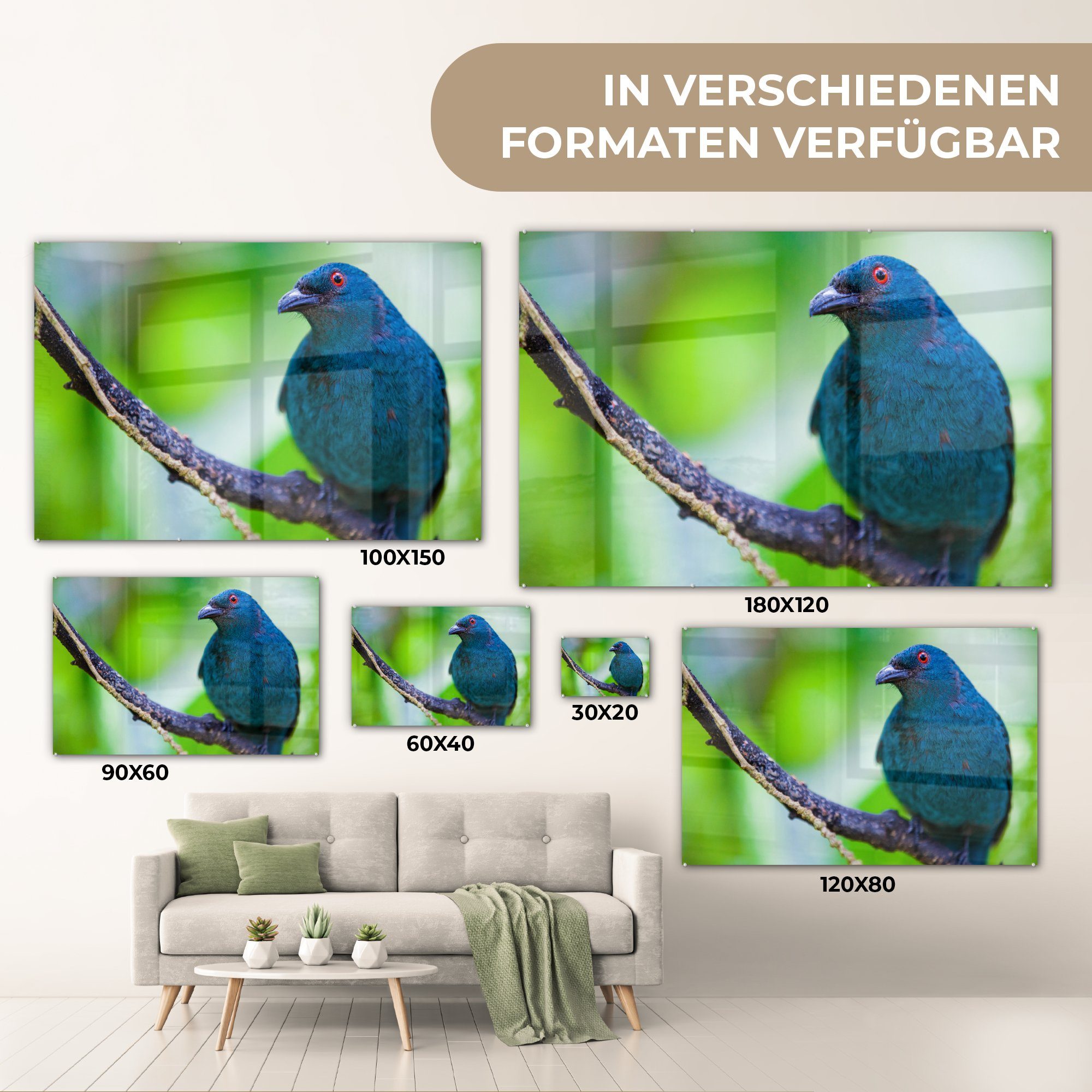 Acrylglasbilder Indischer (1 Wohnzimmer sitzend, Acrylglasbild auf einem Blauregen Schlafzimmer MuchoWow & Ast St),