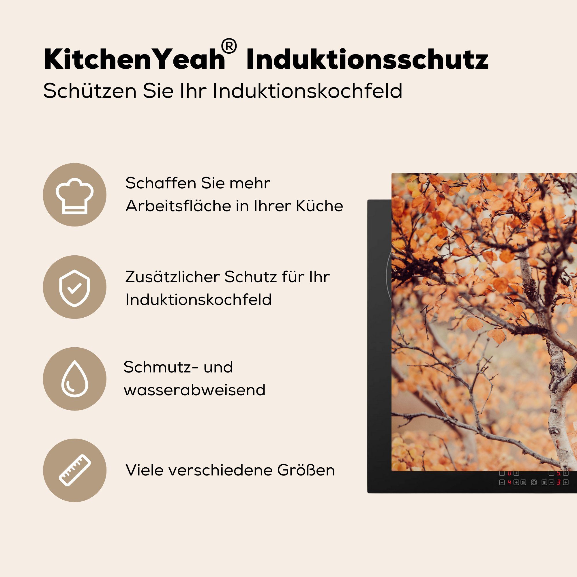 Schutz cm, Blätter, Herbst (1 für 81x52 Vinyl, küche, MuchoWow die Herdblende-/Abdeckplatte tlg), Induktionskochfeld - Ceranfeldabdeckung - Äste