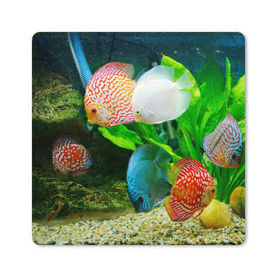 MuchoWow Gaming Mauspad Fische in einem Aquarium (1-St), Gaming, Rutschfester Unterseite, Mausunterlage, 80x80 cm, XXL, Großes