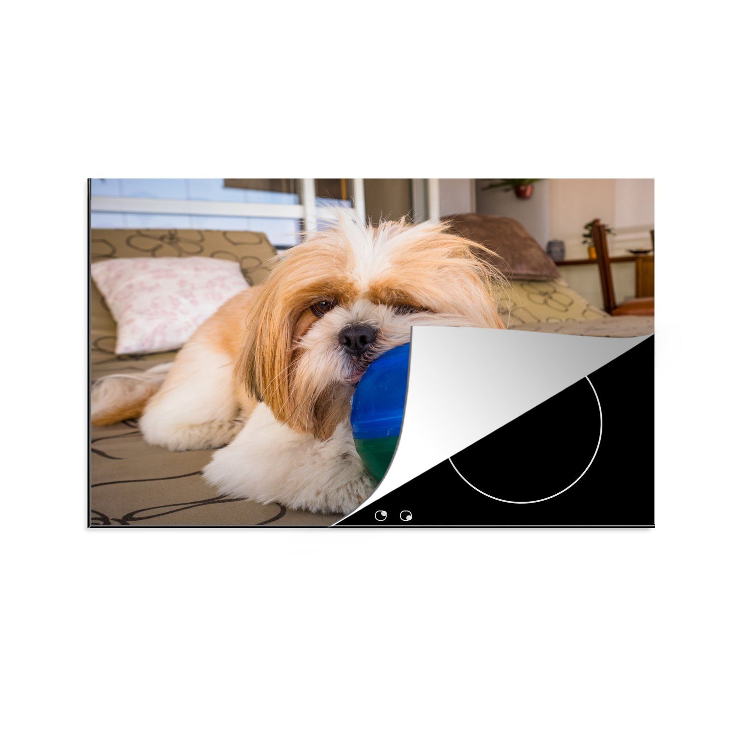 MuchoWow Herdblende-/Abdeckplatte Ein Shih Tzu Hund spielt mit einem Ball, Vinyl, (1 tlg), 81x52 cm, Induktionskochfeld Schutz für die küche, Ceranfeldabdeckung