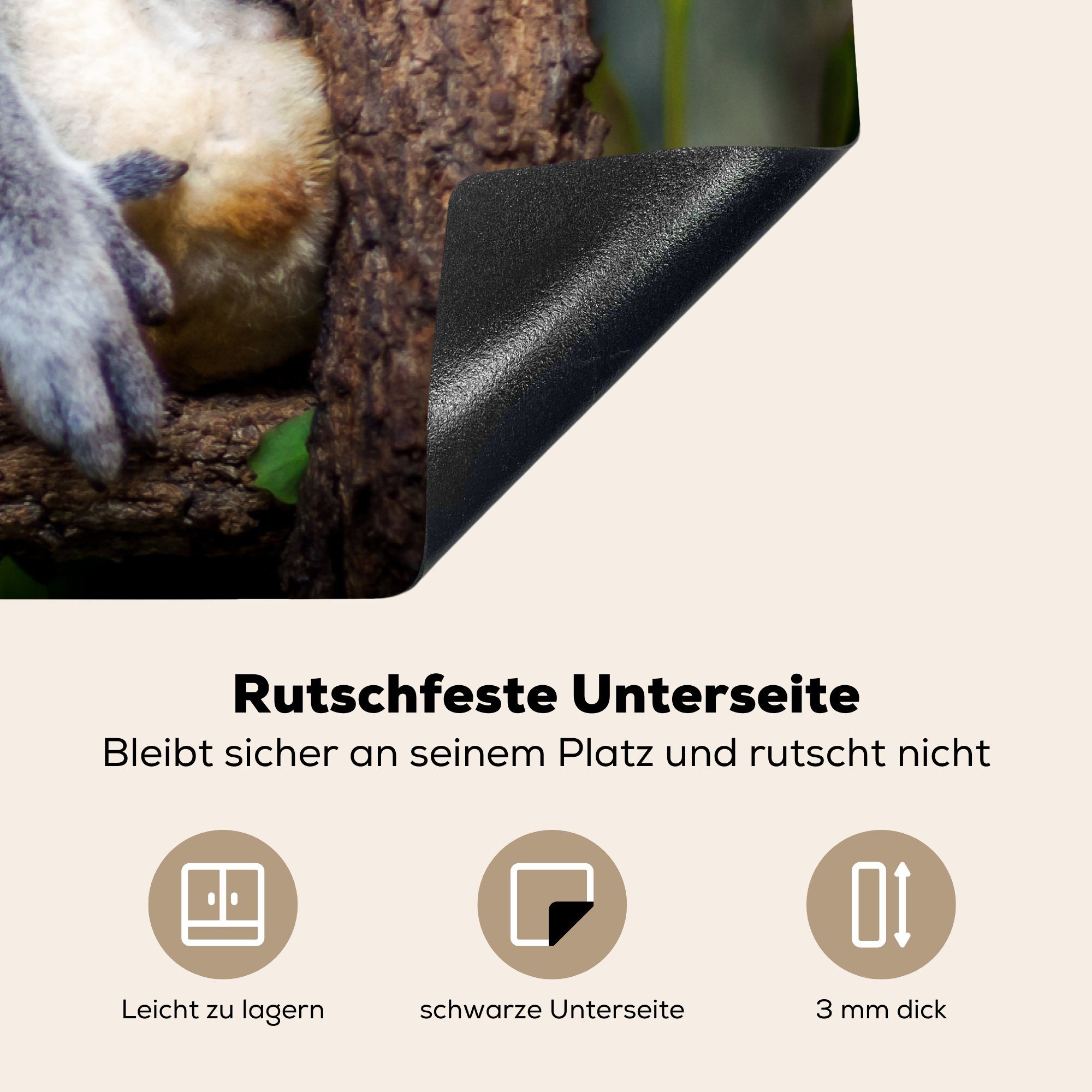 MuchoWow Herdblende-/Abdeckplatte Australien - Koala Induktionskochfeld tlg), küche, die für Bumm, Ceranfeldabdeckung Schutz (1 Vinyl, 81x52 - cm