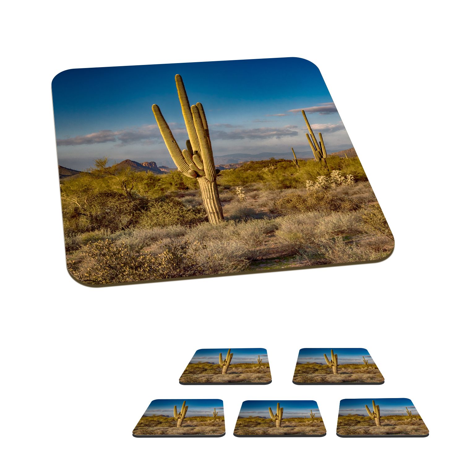 MuchoWow Glasuntersetzer Kaktus bei Sonnenuntergang in Arizona, Zubehör für Gläser, 6-tlg., Glasuntersetzer, Tischuntersetzer, Korkuntersetzer, Untersetzer, Tasse