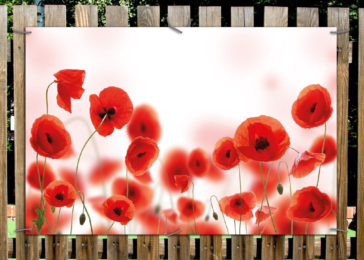 Thumbnail - Wallario Sichtschutzzaunmatten Leuchtende Mohnblumen - Rote Mohnblumenblüten