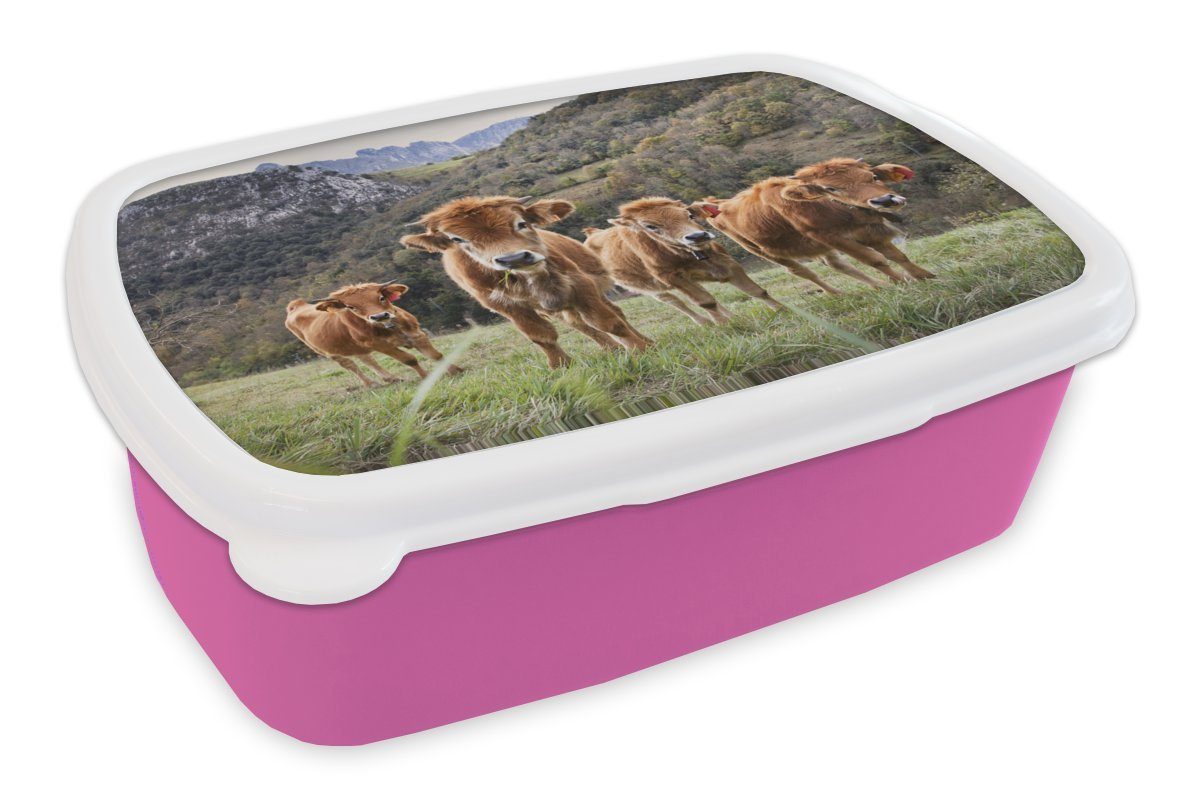 MuchoWow Lunchbox Eine Gruppe von Kälbern, Kunststoff, (2-tlg), Brotbox für Erwachsene, Brotdose Kinder, Snackbox, Mädchen, Kunststoff rosa