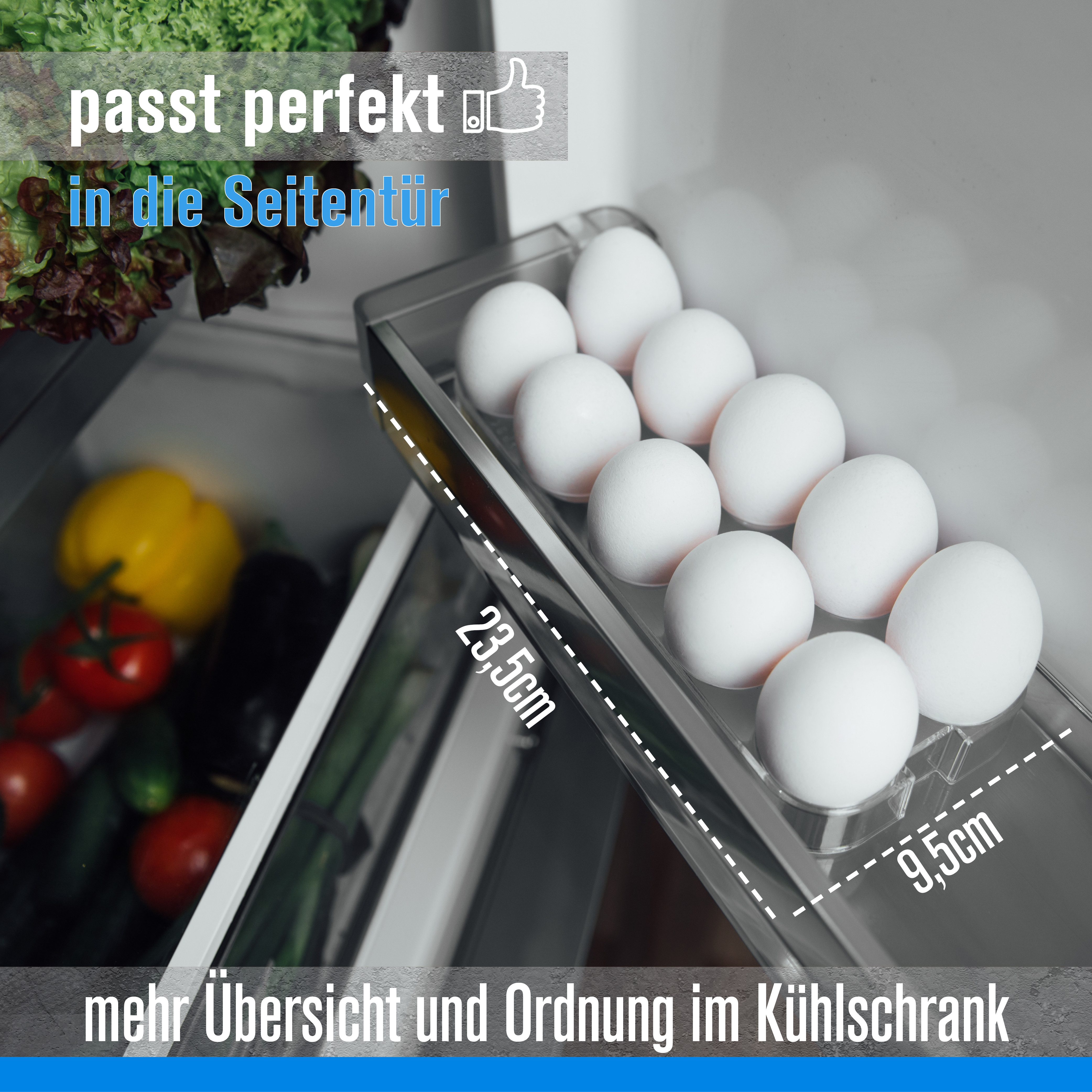 Piebert Eierkorb Universal-Eierhalter 46128 für Kühlschrank, Kühl-/Gefrierkombination, Eierbox