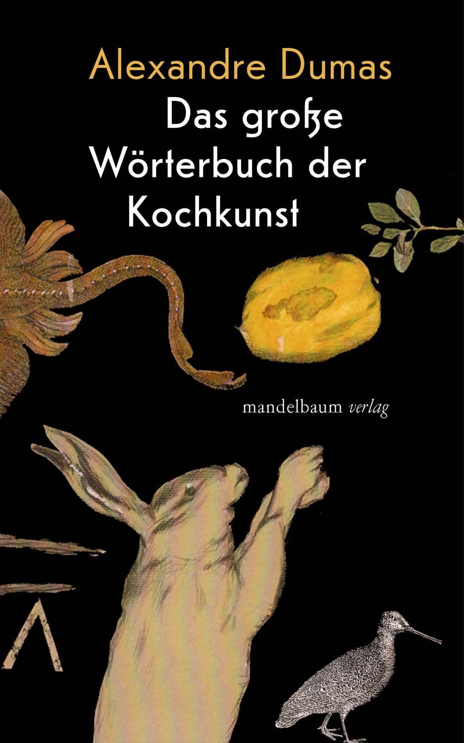 Das große Wörterbuch der Kochkunst / Alexandre Dumas