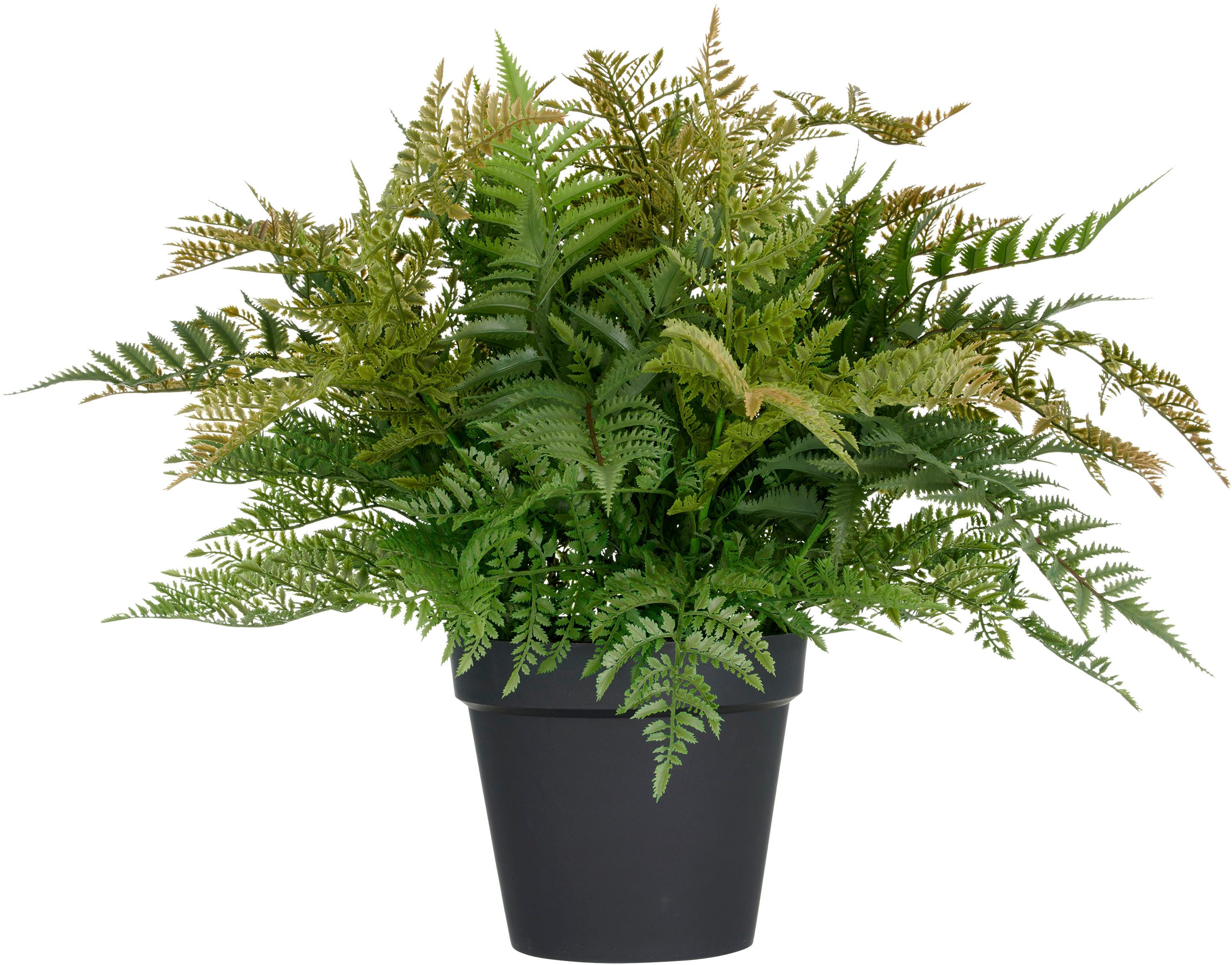 Kunstpflanze Farn, Creativ green, Höhe 70 cm, in UV-beständiger Ausführung günstig online kaufen