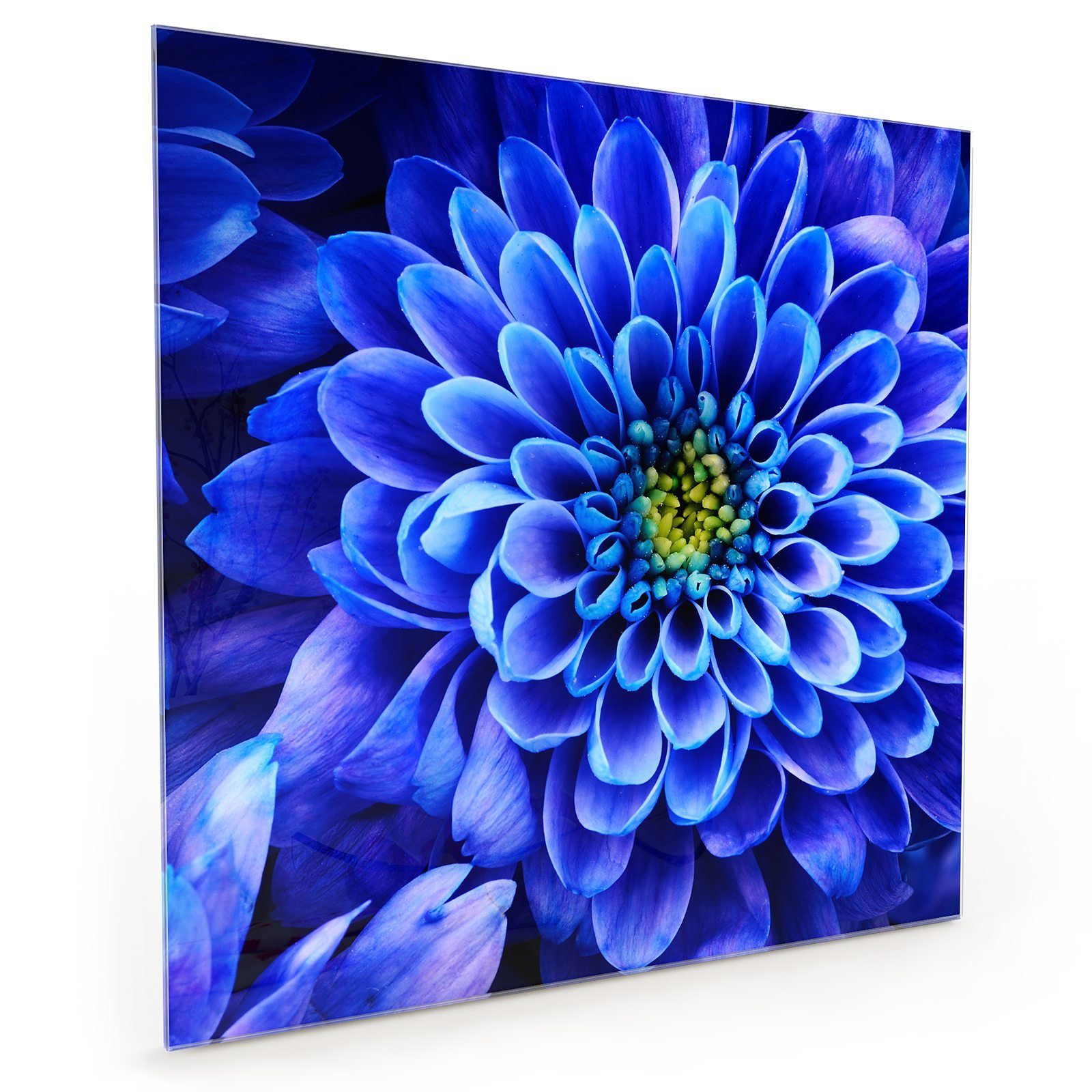 Küchenrückwand Motiv Glas Spritzschutz mit von Küchenrückwand Blume Nahemn Primedeco Blaue