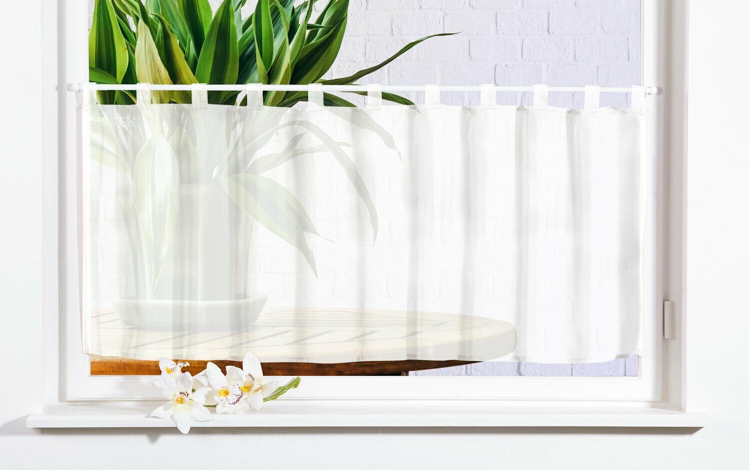 Gardinenbox Scheibengardine (1 St), Schlaufen, transparent, Voile, Voile mi günstig online kaufen