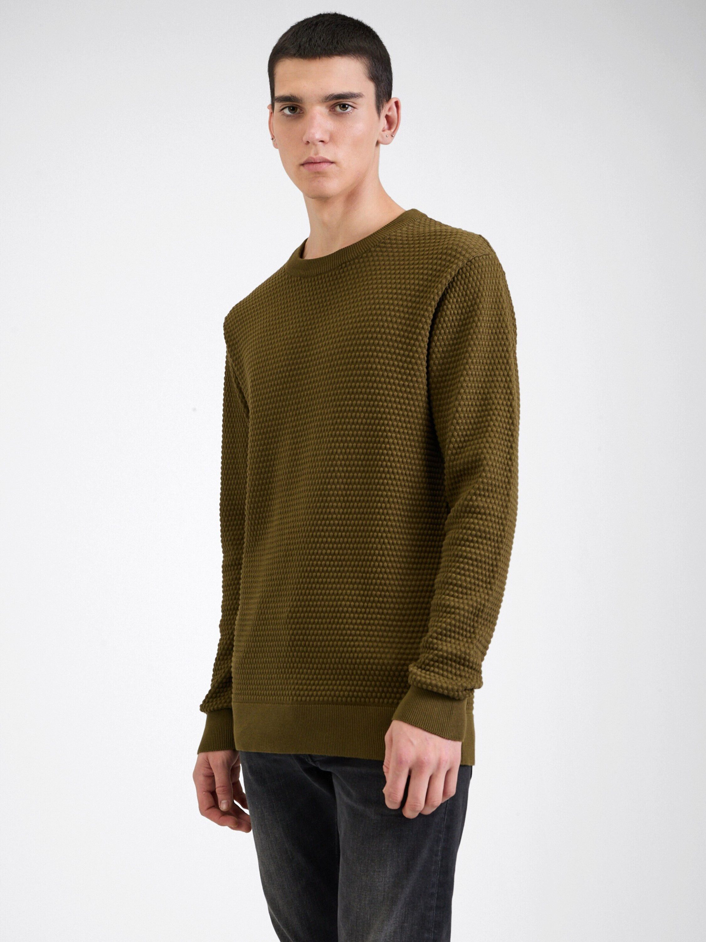 KnowledgeCotton Apparel Rundhalspullover Vagn (1-tlg)