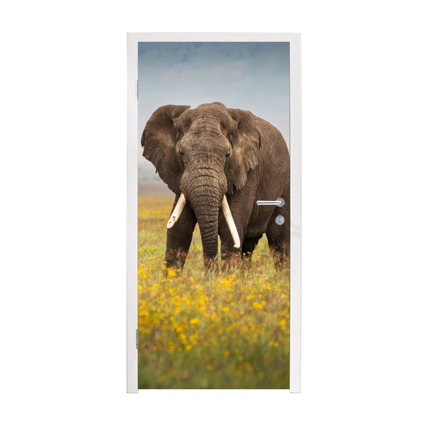 MuchoWow Türtapete Elefant - Blumen - Gras - Tiere - Natur, Matt, bedruckt, (1 St), Fototapete für Tür, Türaufkleber, 75x205 cm