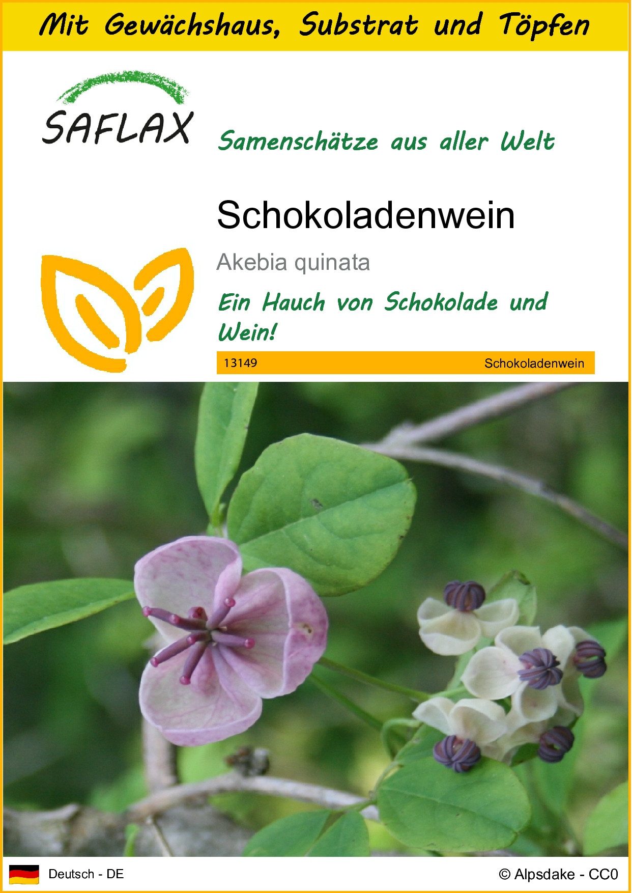SAFLAX Blumensamen SAFLAX - Anzuchtset - Schokoladenwein