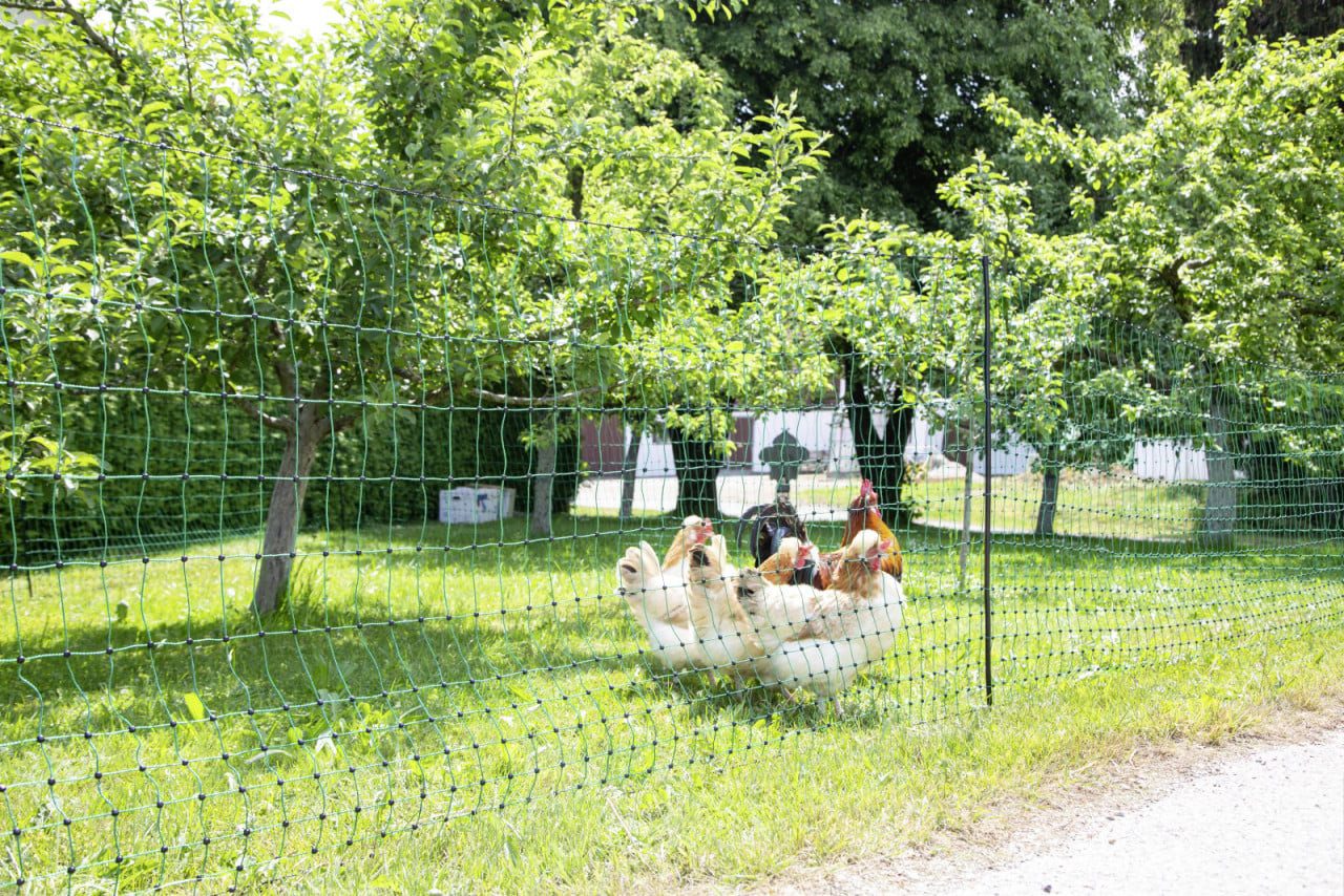 Kerbl Tierhaus Kerbl Geflügelnetz 50 m grün H 106 cm mit