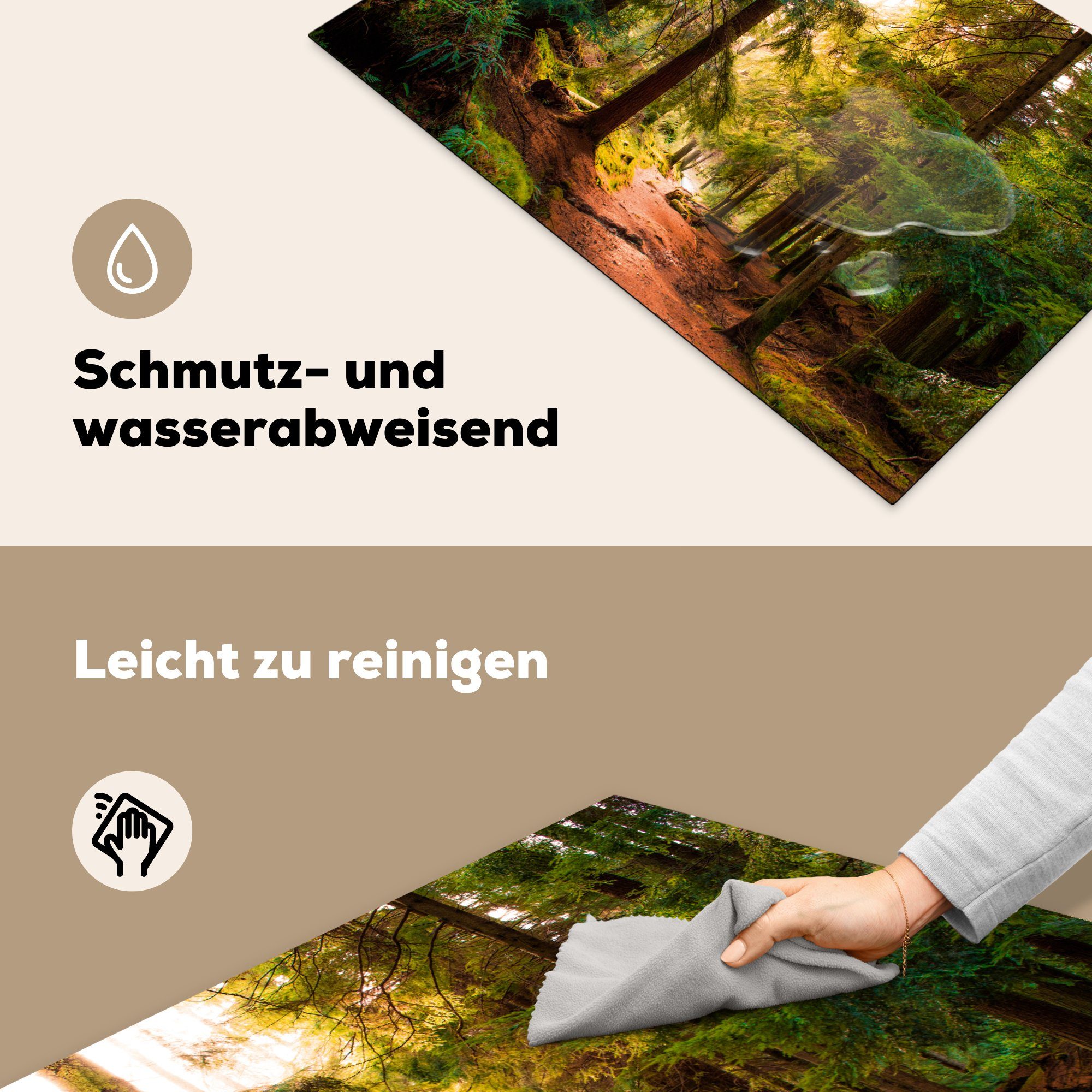 MuchoWow Herdblende-/Abdeckplatte Wald - tlg), Bäume Arbeitsplatte Ceranfeldabdeckung, - Weg - Natur, - für küche Vinyl, 81x52 - Grün (1 Sonne cm