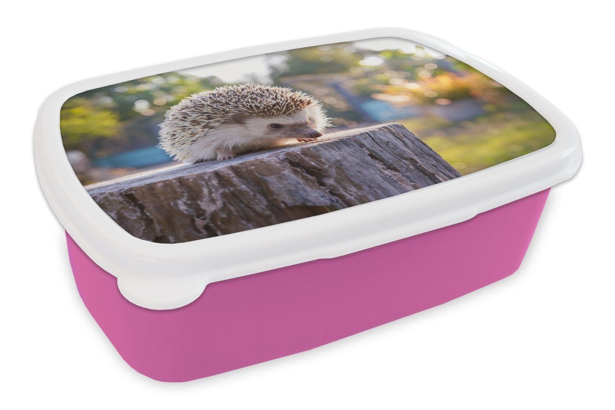 MuchoWow Lunchbox Igel auf einem Baumstamm, Kunststoff, (2-tlg), Brotbox für Erwachsene, Brotdose Kinder, Snackbox, Mädchen, Kunststoff rosa