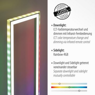 my home LED Stehlampe Luan, dimmbar über Fernbedienung, LED fest integriert, warmweiß - kaltweiß, Downlight: 2700-5000K, Sidelight: Rainbow-RGB, Infrarot-Fernbed. inkl.