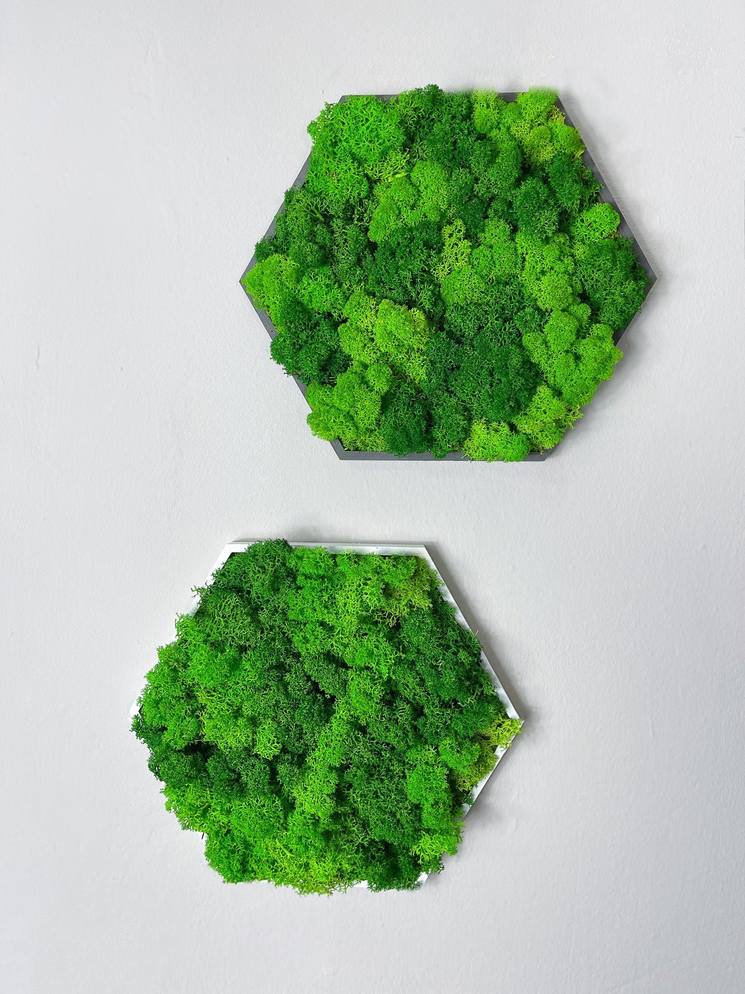 Gedankenwunder Manufaktur Bild mit Rahmen Islandmoos Farbkombi Moosbild Hexagon Rahmen Sechseck Rentiermoos