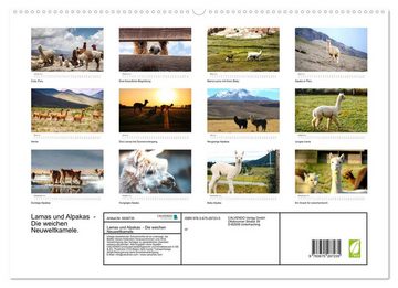 CALVENDO Wandkalender Lamas und Alpakas - Die weichen Neuweltkamele. (Premium, hochwertiger DIN A2 Wandkalender 2023, Kunstdruck in Hochglanz)