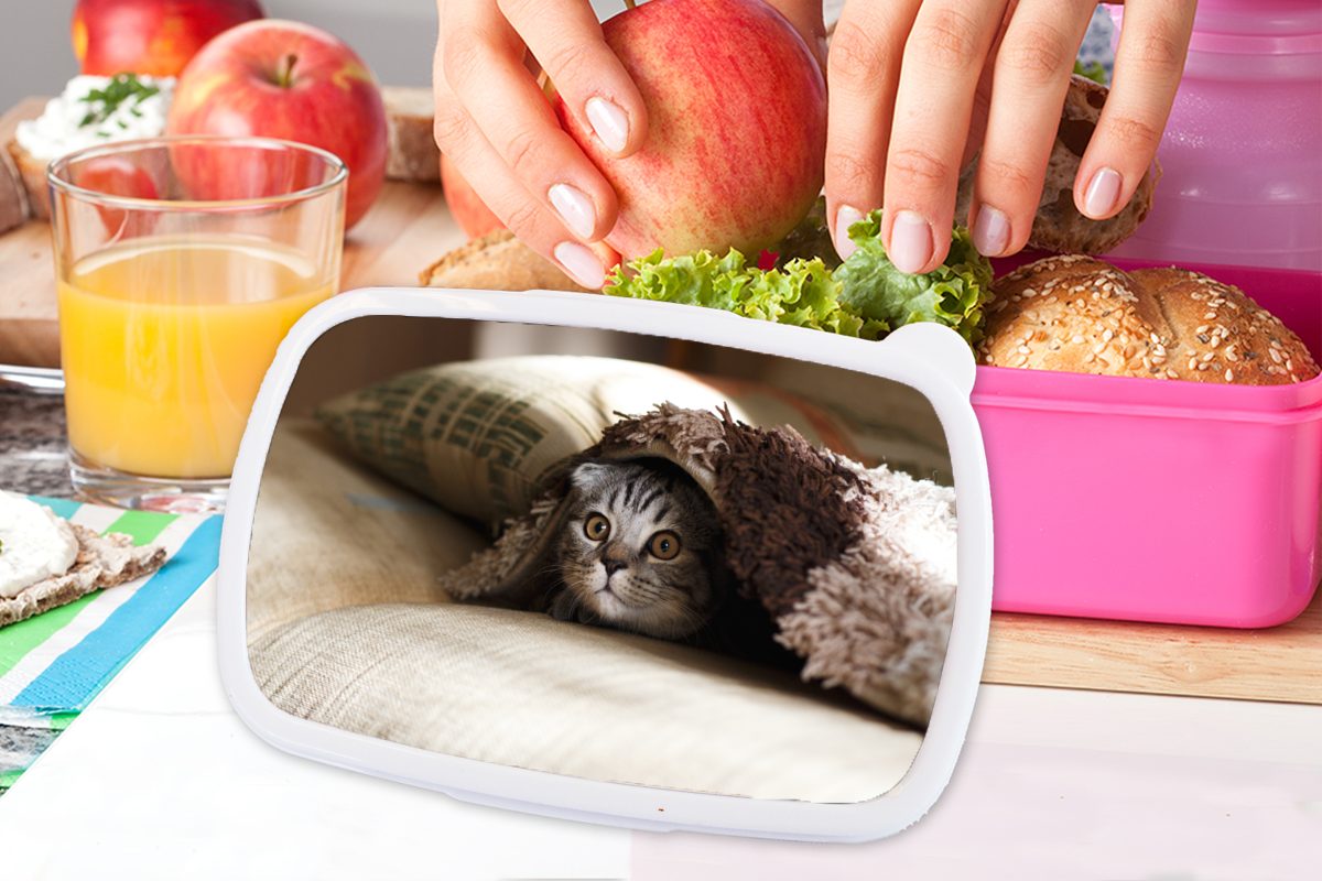 MuchoWow Lunchbox Katze - Decke für Snackbox, rosa (2-tlg), Kinder, Brotbox Erwachsene, Brotdose - Kunststoff, Kunststoff Mädchen, Bank