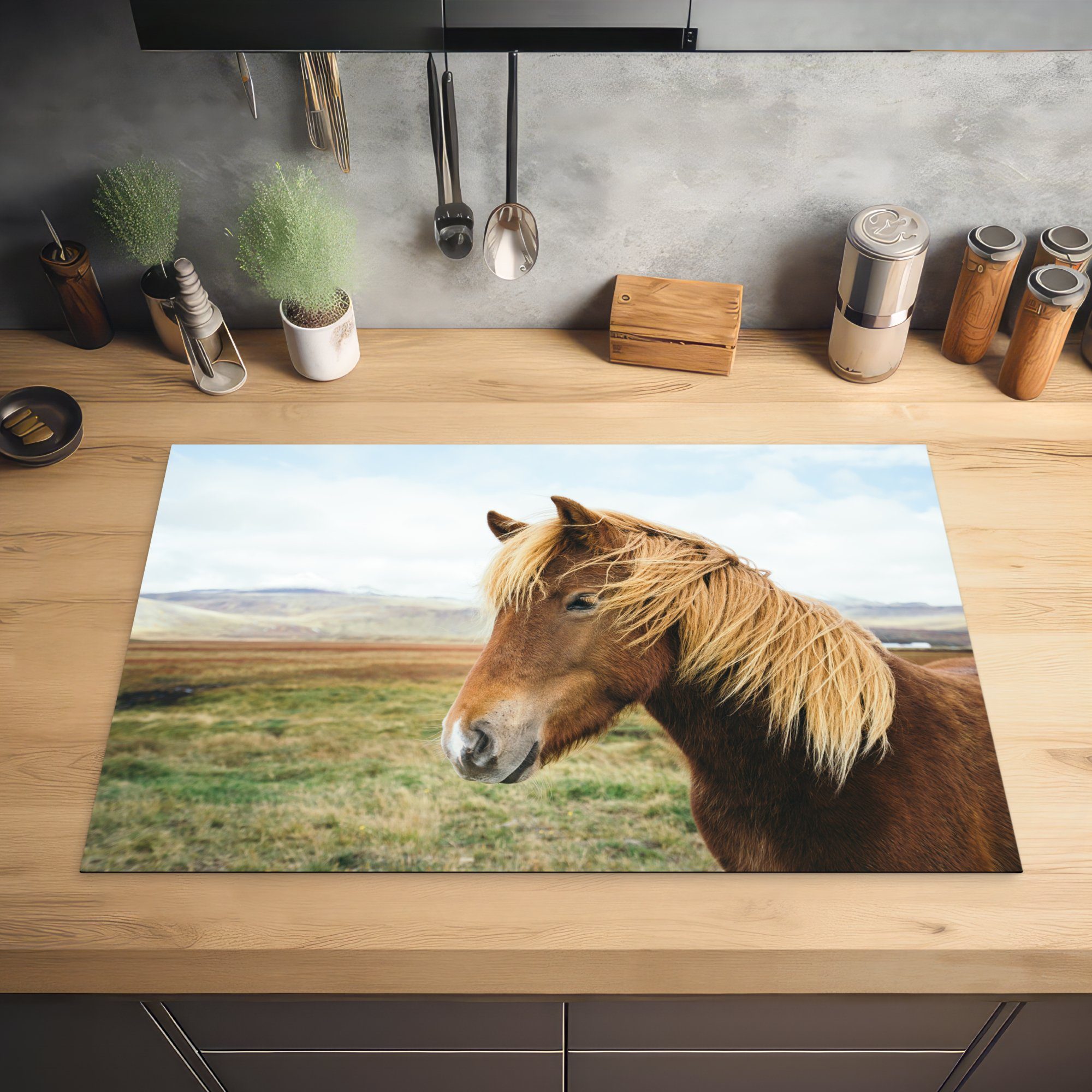 Natur für - Herdblende-/Abdeckplatte tlg), Pferd Ceranfeldabdeckung Island, küche, (1 cm, Induktionskochfeld Vinyl, - 81x52 Schutz die MuchoWow