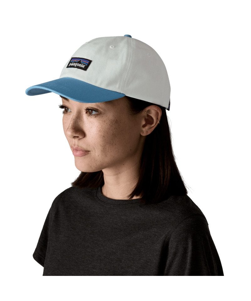 Patagonia Trucker Cap P-6 Label Trad Cap