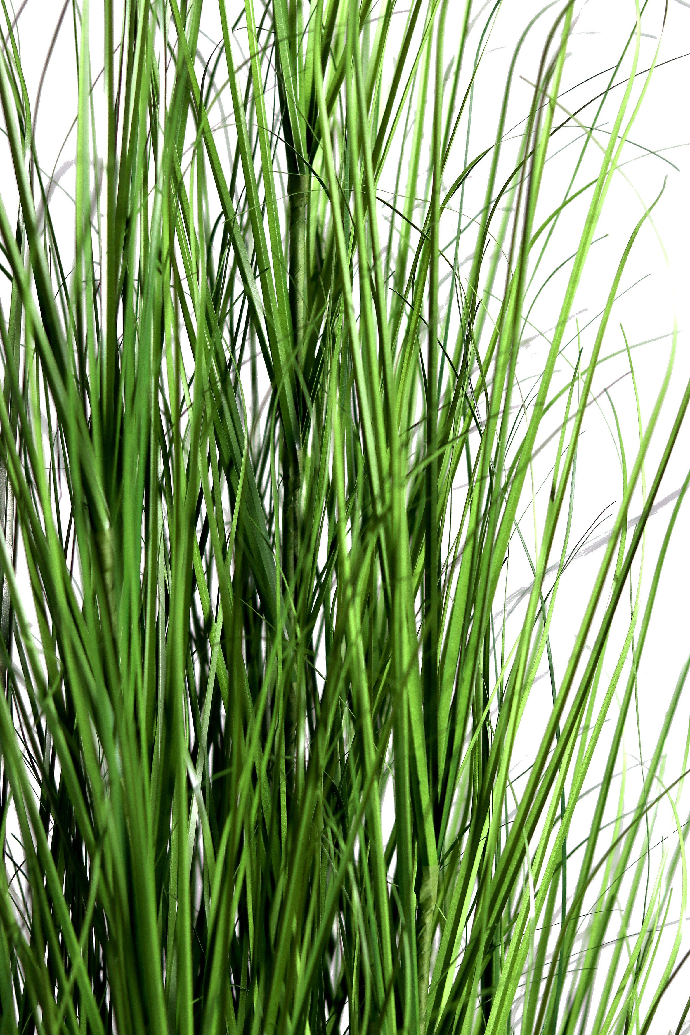 Kunstgras Gras im Topf 60/95/150 cm im schwarzer Kunststofftopf Kunstpflanze, mucPlants, Höhe 60 cm – Bild 3 von 4